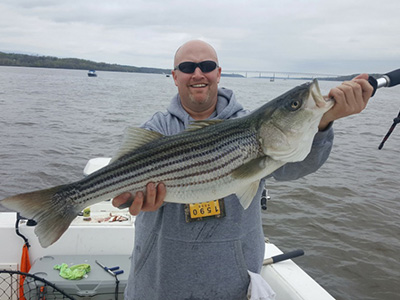 Tippin' Scales Fishing Charter | Hudson River & Saltwater Trips