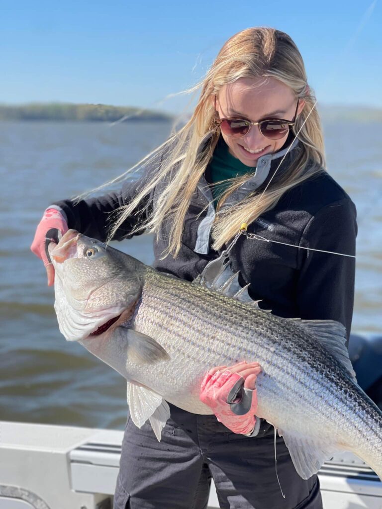 Woman Holding a Striped Bass | Hudson River Fishing Charters