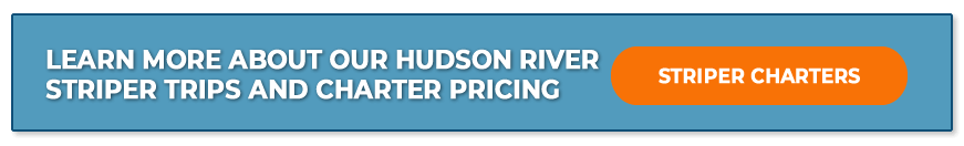 Click here for Hudson River Charter Information and pricing 